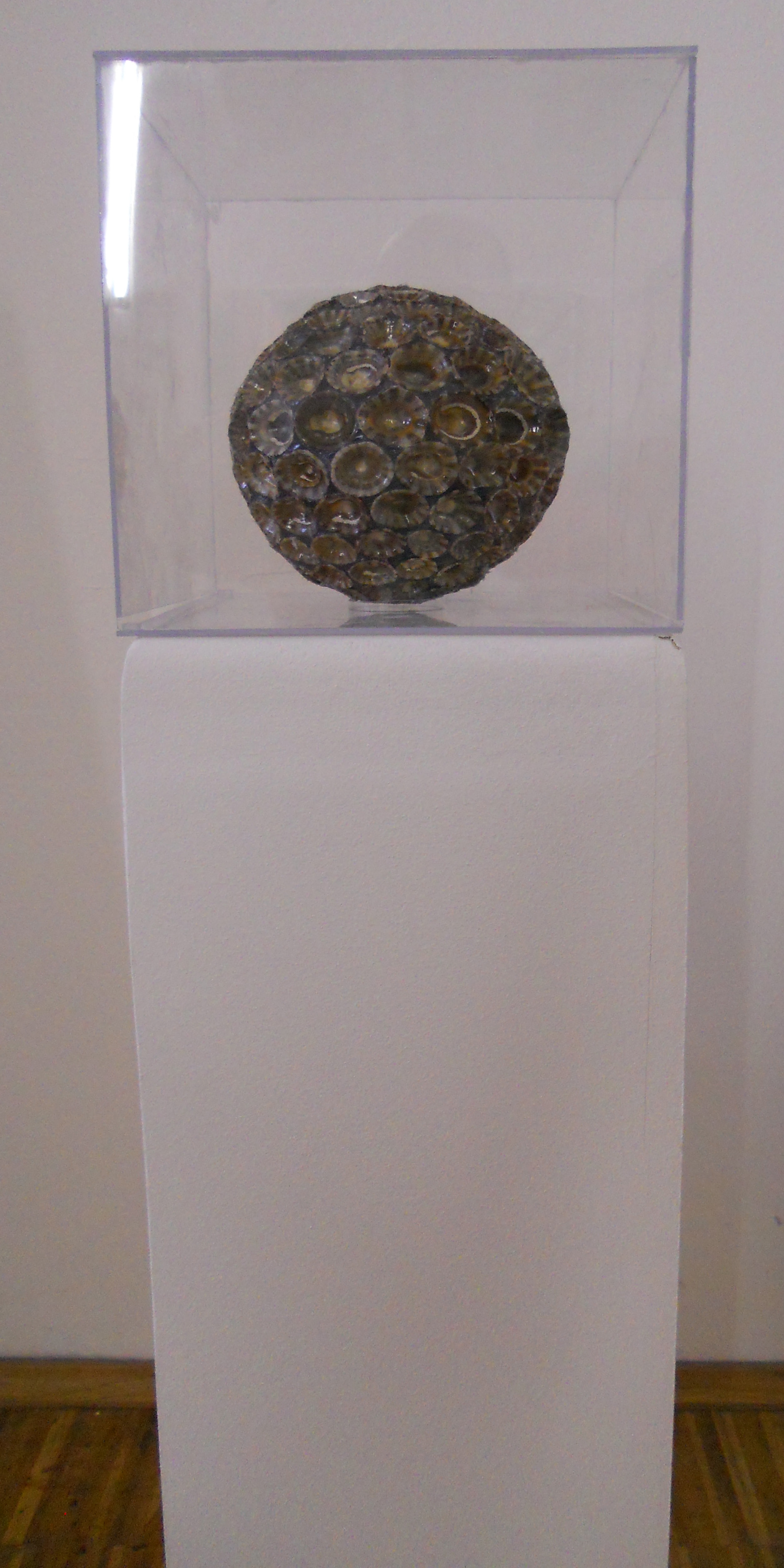 MW 19 (Hohe Aufl&ouml;sung)